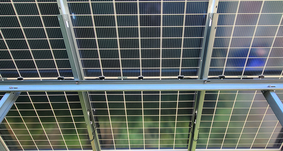 //plum-seal-750925.hostingersite.com/wp-content/uploads/2023/09/Bifacial.jpg